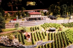 smartcapture