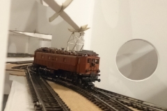DSC_1954